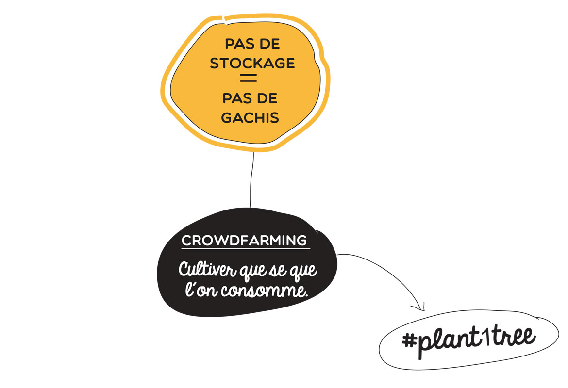 Pas de stockage = pas de gachis, Crowdfarming cultiver que se que l'on consomme, #plant1tree