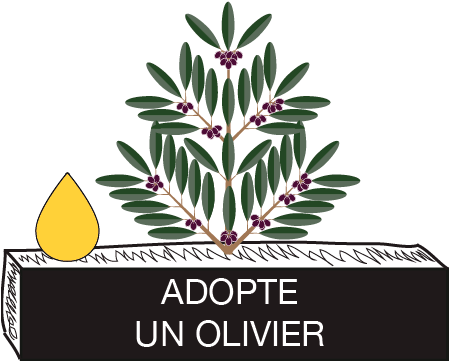 ADOPTE UN OLIVIER