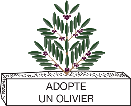 ADOPTE UN OLIVIER
