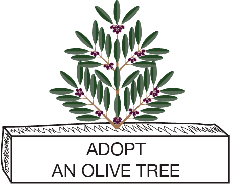 ADOPT AN OLIVE TREE