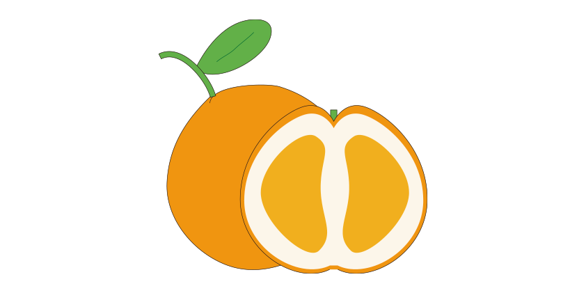 Oranges Salustiana (taille moyenne)<br>(15kg)