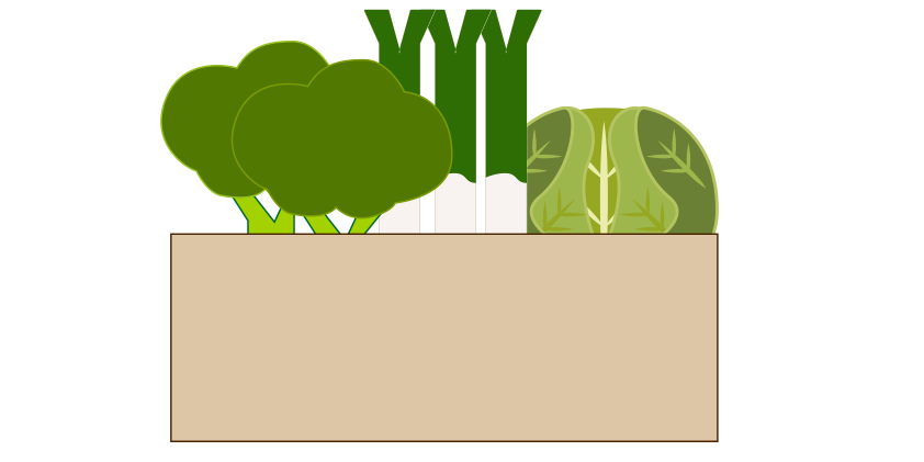 Boîte de légumes d'hiver variés<br>(boîte de 4,5 kg)