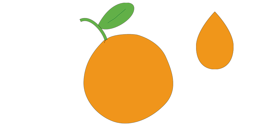 Organic orange Juice<br>(botella de 750 ml)