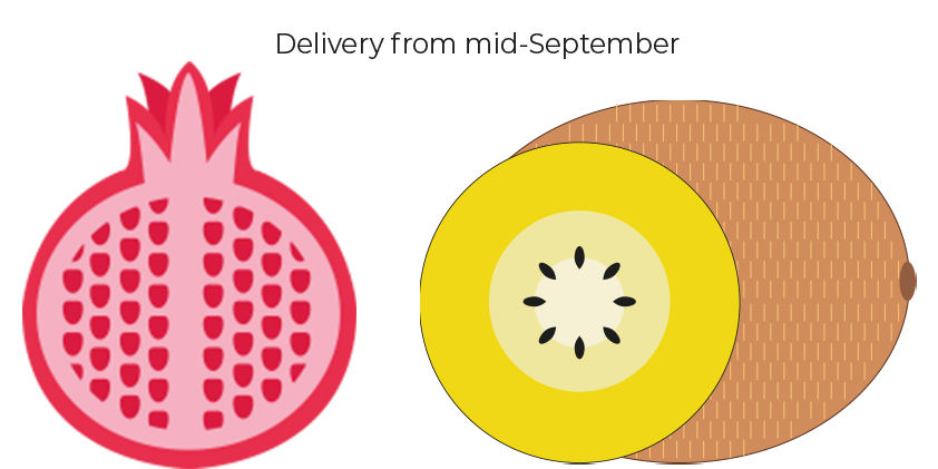 Box of kiwi and pomegranate<br>(3,5 kg)