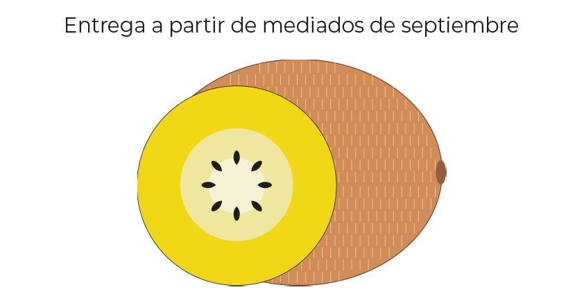 Kiwi amarillo<br>(bolsa de 1,5 kg)