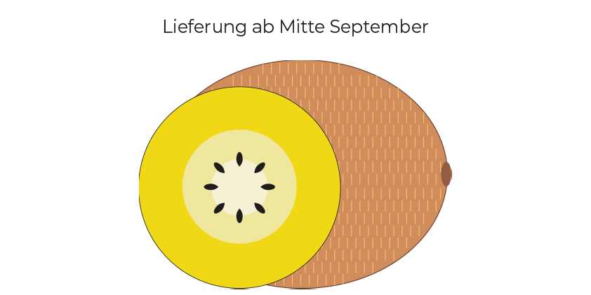 Gelbe Kiwi<br>(1,5 kg Tüte)