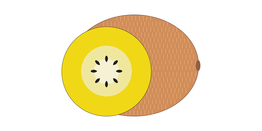 Kiwi jaune<br>(sac de 1,5 kg)