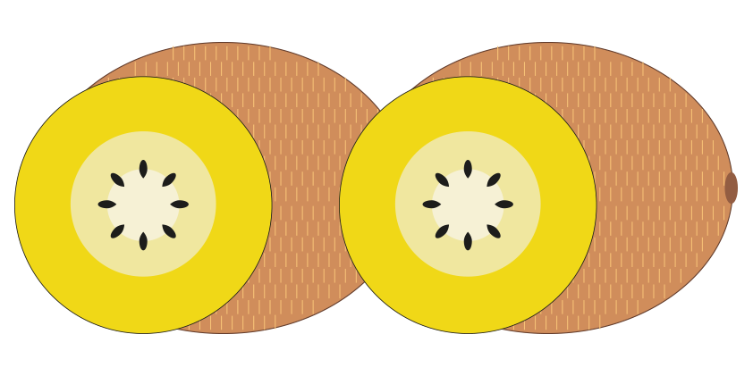 Kiwi jaune<br>(boite de 3kg)