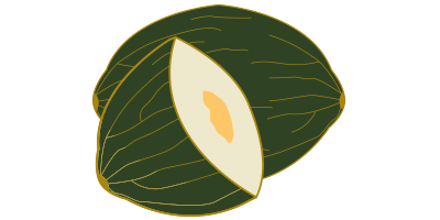 Organic melon<br>from our garden (≈3,5kg)