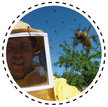 Gonzalo inmitten der Bienen